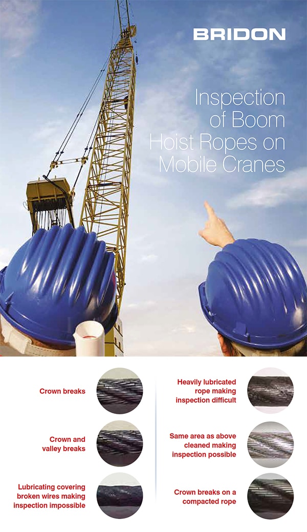 Complete overview of Crane Boom Pin and Connection Inspection featuring certified crane operator executing lift plan with proper hand signals, ground crew coordination, and safety zone establishment per OSHA regulations